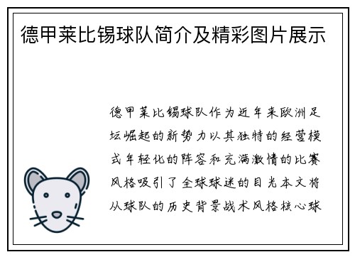 德甲莱比锡球队简介及精彩图片展示